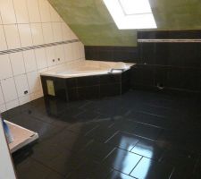 Une salle de bain qui brille... pas pour longtemps!!!