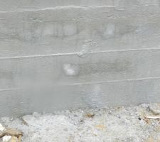 Protection ant-infiltration