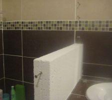 Quelques vis-chevilles pour renforcer.