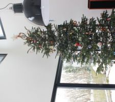 Notre premier sapin de Noël à la hauteur du vide sur séjour