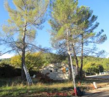 Et voilà le terrain au début de l'abattage