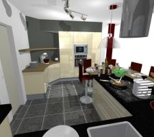 Cuisine vue coté fenêtre (la couleur des meubles sera blanche)