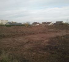 Début des travaux de viabilisation