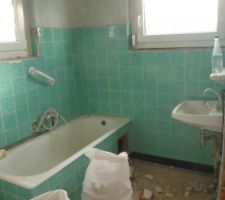 Salle de bains en cours de "destruction"