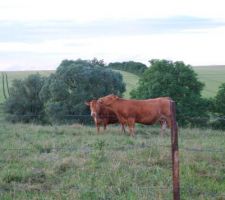 Nos futures voisines!