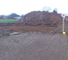 La voisine est en avance.....RRRRRRR!!!