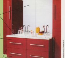 Modèle de ma salle de bain mais la couleur sera taupe.
