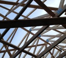 Connecteurs pour fermettes