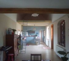 L'espace cuisine, et l'arrière cuisine (derière le passe-plat), vu le de la salle à manger. Vous pouvez apercevoir la mezzanine, et la hauteur sous plafond de 4,5m.