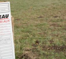 Limite de proprietée notre terrain est celui de droite