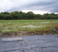 Terrain sur Vitr&eacute; pour la future maison
