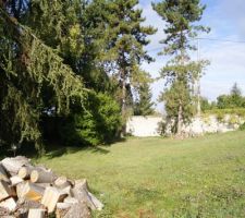 Voici une photo du terrain qui est désormais le notre ! Bientôt une maison s'élèvera ici !