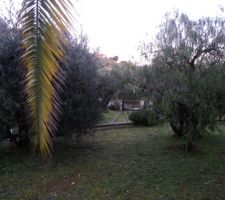 Vue sous palmier à déplacer