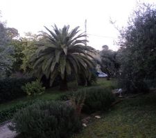 Vue servitude vers Est