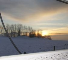 Vue depuis le salon