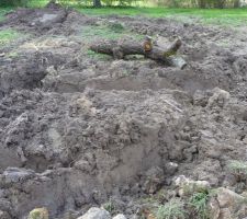 Les ornières que le manitou a laissé sur la pelouse et m'a ramené tout ca sur le chemin d'accès ...