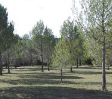 &ccedil;a, c'est la photo de l'agence !