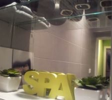 La déco dans la niche: noir, gris perle et vert anis pour une ambiance design et zen !