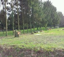 1 tas de bois perdu... 3 remorques parties... Rebelotte dans 15jours... Vivement ;)