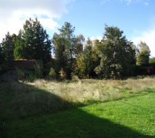 Le terrain avant travux