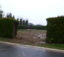 Ouverture de la haie de tuyas et mise en forme du terrain