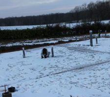 Quand la neige s'en m&ecirc;le