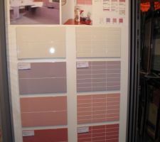 Fa&icirc;ences wc du bas (le rose fonc&eacute; et retour blanc)