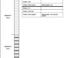 Etude de filière d'assainissement p8