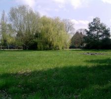 La m&ecirc;me photo , 5 mois plus tard juste avant le trac&eacute; de la maison.