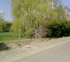 La fa&ccedil;ade , 23 m&egrave;tres de large, une haie &eacute;paisse de 4 m&egrave;tres