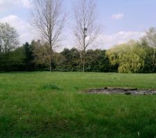 Vue du fond de notre terrain , avec 3 gros peupliers