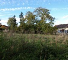 Etat du terrain &agrave; l'achat