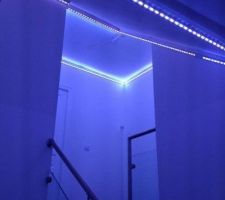 Pose des leds avant la pose de la toile tendue translucide.