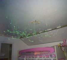 Pr&eacute;paration de la fibre optique