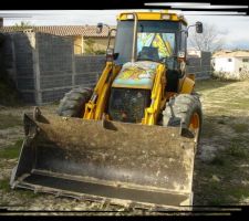 Marsupilami au repos