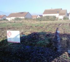 Mon champs de patate !! pour l'instant...