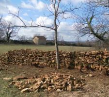 Le défit de refaire le mur en pierre sèche à commencé... 
Pas simple et pas facile mais bon rien n'est impossible...
Même si cela ne sera pas aussi bien qu'un pro ...