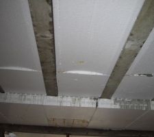 Les hourdis polystyrene certain ne sont pas trés propre là c'est au niveau de l'ouverture du garage