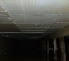 Polystyrène du vide sanitaire