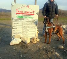 Notre chien d&eacute;couvre son futur environnement...A voir cela lui convient...