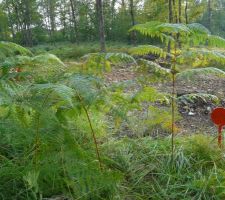 Le terrain est born&eacute;