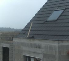 La toiture terrasse une vrai pataugeoire 
il y a un léger problème de pente
