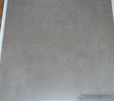 Carrelage RDC