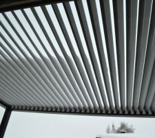 Pergola vu de dessous