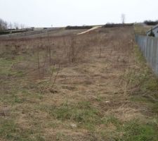 Chemin d'acces vu du bas du terrain
