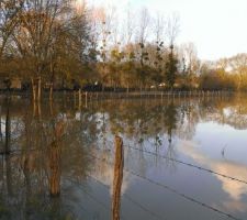Il pleut, il pleut bergère... sous l'eau, un prés !