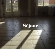 Carrelage s&eacute;jour 3
