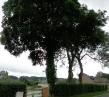 C'est parti !!!
Voici donc notre terrain avant le début des travaux.