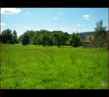 Notre parcelle de terrain prise en photo cet &eacute;t&eacute; :)