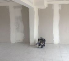 Carrelage du séjour